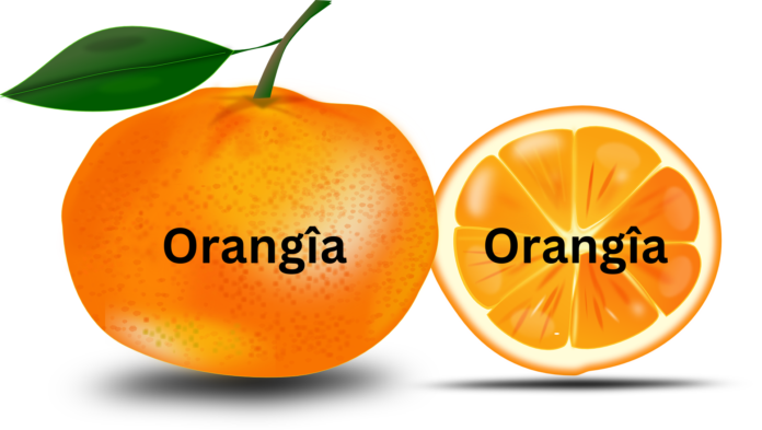 The Ultimate Guide to Orangîa: Unveiling the Mysteries of This Exotic Fruit