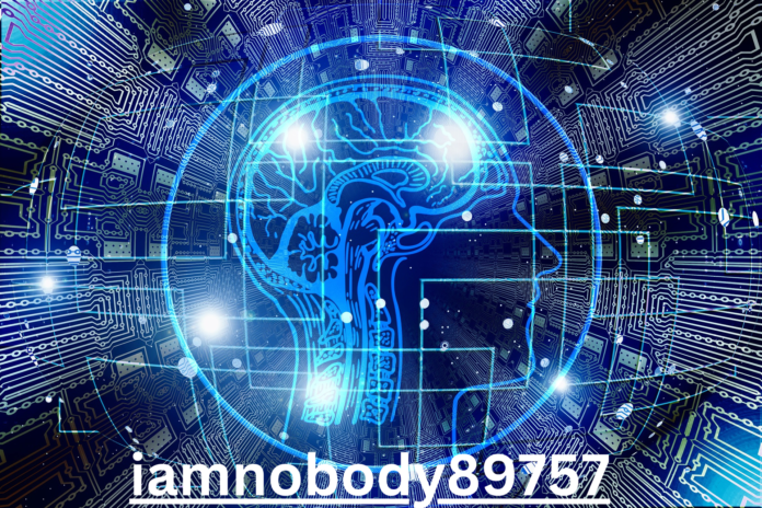 iamnobody89757: The Enigma of the Digital Age